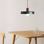 Colora | Artistieke Gekleurde Hanglamp met Strak Design