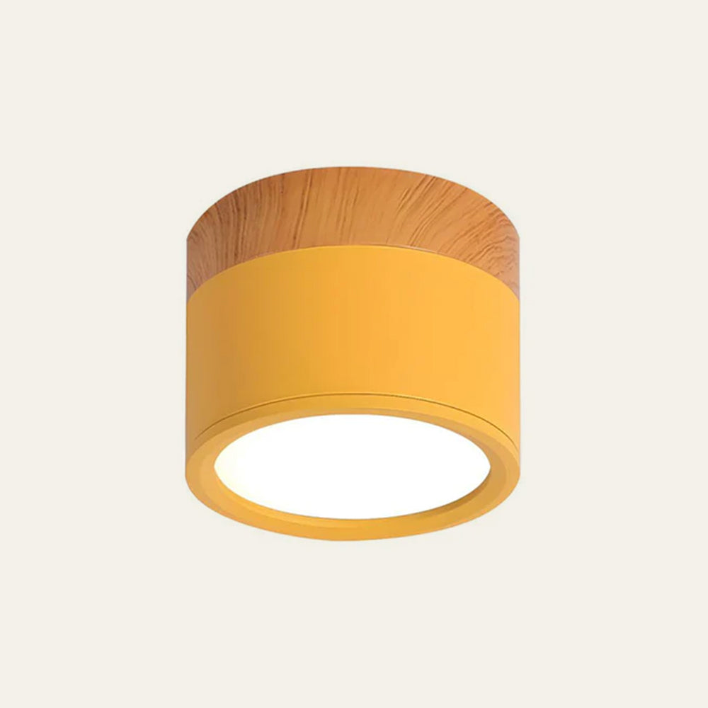 Cylindor | Kleine Minimalistische Plafondlamp