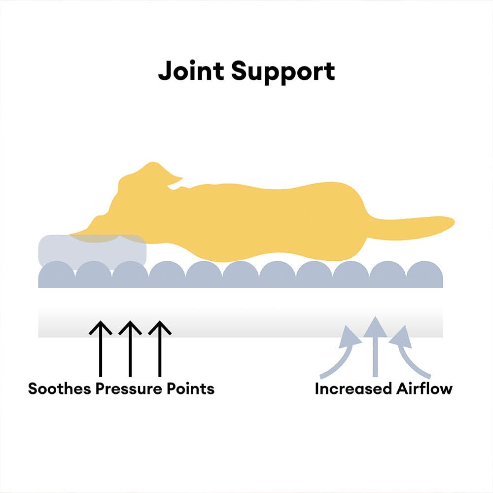 Kose Sofa | Orthopedisch Hondenbed – Memory Foam – Wasbaar