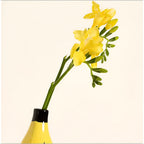 Banana-Vaso | Moderne Decoratieve Vaas – Uniek Bananenvorm Design – Speelse Blikvanger