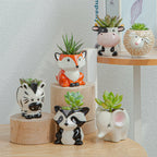 FaunaMini | Creatieve Dieren Bloempotjes – 5 Unieke Varianten – Voor Vetplanten & Cactussen