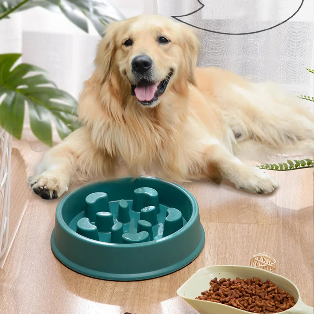Maze Bowl | Anti-Schrok Voerbak – Gezonde Spijsvertering – Voor Hond & Kat