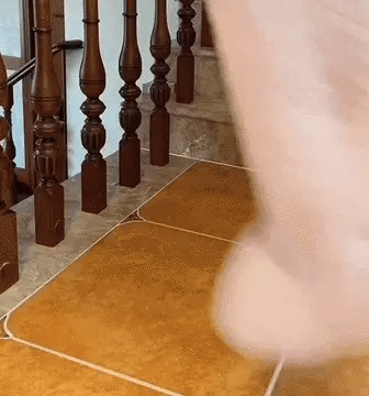 Nuvola | Orthopedisch Hondenbed – Luxe Pluche Sofa met Optimale Gewrichtsondersteuning