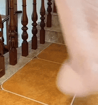 Nuvola | Orthopedisch Hondenbed – Luxe Pluche Sofa met Optimale Gewrichtsondersteuning