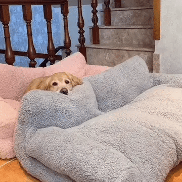 Nuvola | Orthopedisch Hondenbed – Luxe Pluche Sofa met Optimale Gewrichtsondersteuning