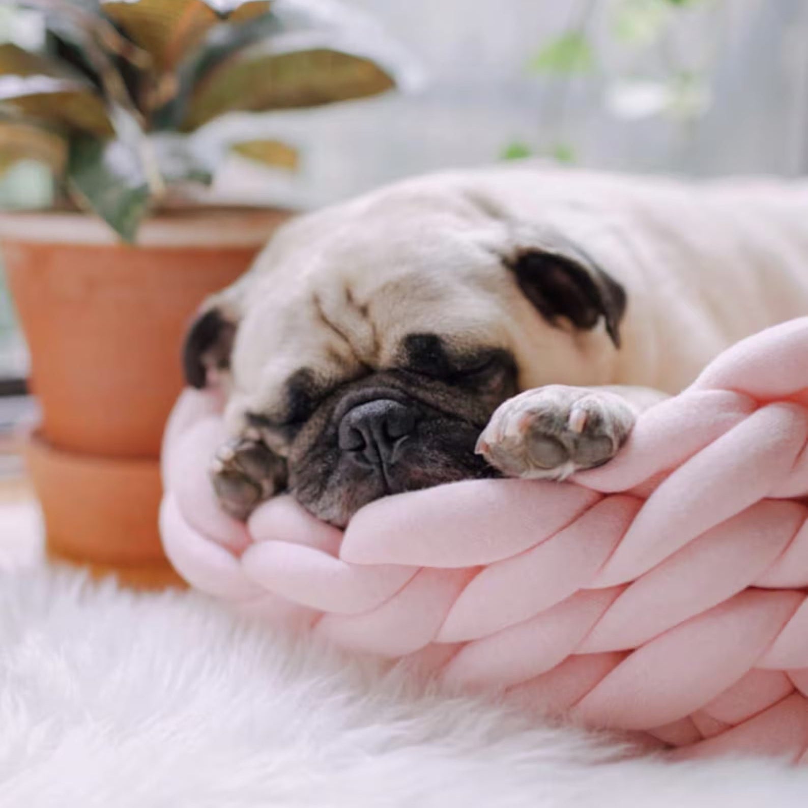 Knotto | Handgehaakt Wollen Dierenbed – Natuurlijke Wol met Hoge Rand voor Geborgenheid